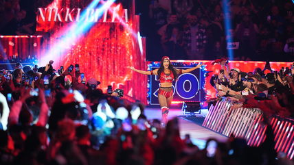 Nikki Bella Adds Fuel To Speculation Of A Bella Twins WWE Reunion In 2025