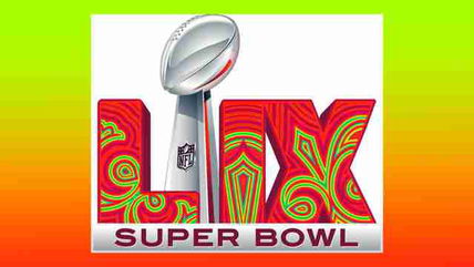 SUPER BOWL LIX FOR DUMMIES