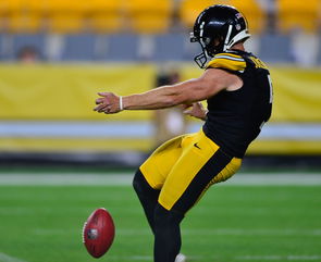 Steelers Punter Cameron Johnston Updates Injury Status