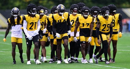 Steelers Cut Ties with International Safety