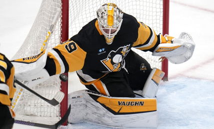 Nedeljkovic In, Malkin Out Against Senators