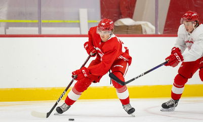 Red Wings Prospect Report: Kiiskinen Out With Serious Injury