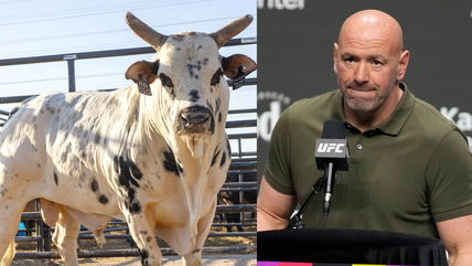 Dana White mourns the loss of his beloved PBR Bull ‘Twisted Steel’ with an emotional message on social media