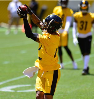 Former Steelers Cornerback Signs With UFL Team