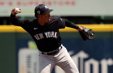 New report reveals next New York Yankees and Mets prospects with superstar potential