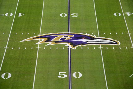 Baltimore Ravens reporter names Day 3 pick who could become defensive starter in 2025