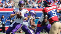 Oddsmakers Remain Skeptical of Minnesota Vikings