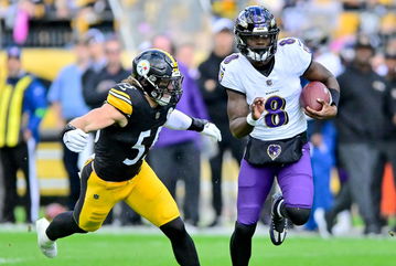 AFC North: Ravens Close Gap to Steelers with Win Over Giants