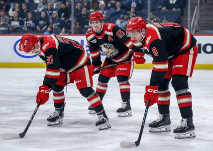 Red Wings Sign Griffins Forward as Kane Goes on IR