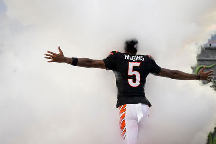 NFL insider proposes crazy Tee Higgins idea if Cincinnati Bengals reach the playoffs