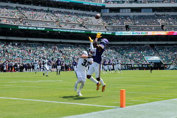 The Vikings Sign 11 Familiar Faces and 2 New Guys