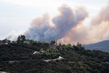 Wildfires Jeopardize Rams-Vikings Playoff Game