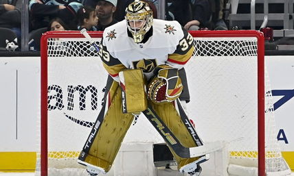 Projected Potential Contract Extension For Goaltender Adin Hill