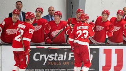 Red Wings at Lightning: Notes, Lines, Goalies, How to Watch