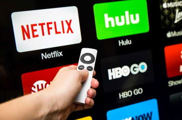 Hulu + Live TV vs. Fubo: Which is Best for You in 2024?