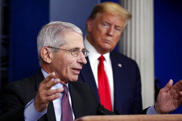 Trump yanks security detail for Fauci