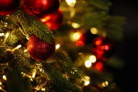 School District Bans Christmas Tree