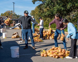 ‘That’s a Big Pie!’ Church Distributes 40,000 Pounds of Sweet Potatoes