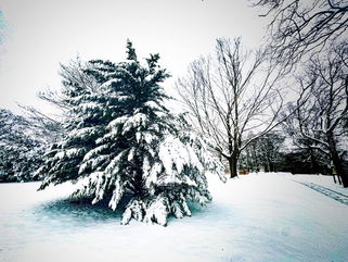 More snow headed to Long Island Tuesday night into Wednesday