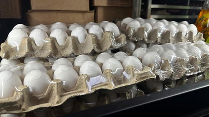 Egg prices could jump another 41% this year, USDA says, as Trump’s bird flu plan unveiled