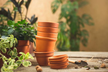 These Plants Won’t Thrive In Terracotta Pots, So Here Are Some Alternative Containers To Help Them Flourish