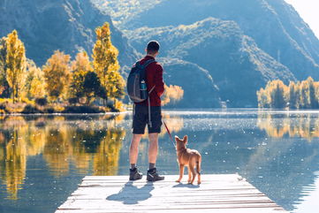 Here’s How You Can Train Your Dog To Be A Great Hiking Companion