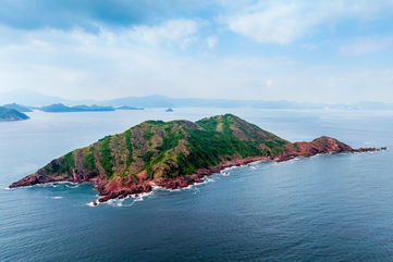 The Remains Of A Large Dinosaur From The Cretaceous Period Were Discovered On Port Island, Marking The First Time Dinosaur Fossils Have Been Found In Hong Kong