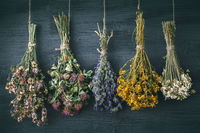 Here’s How To Dry Your Favorite Flowers And Turn Them Into Long-Lasting Decor