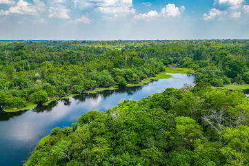 Researchers Discovered A Lost 18th-Century Colonial City In The Amazon Rainforest