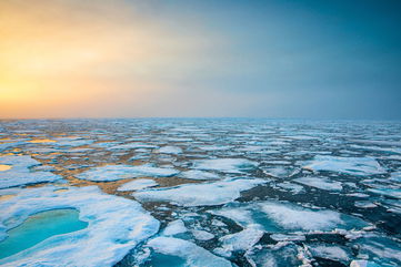 Scientists Grew Microalgae In Near-Darkness Below The Arctic Ocean, Suggesting Potential For Developing Crops That Thrive In Low Light Environments