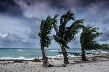 Caribbean Nations Are More Vulnerable To Intense Hurricanes Due To Colonialism, Which Brought Slave-Based Land Policies, Poor Construction Methods, And Environmentally Harmful Practices To The Islands