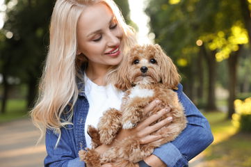 He’s Not Splitting A $4,000 Vet Bill With His Girlfriend Since She’s The One Who Lost Their Dog And Caused The Pup To Get Hit By A Car