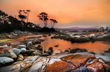 Over 41,000 Years Ago, Ancient Tasmanians Used Fire To Manipulate Their Environment, And Mud Helped Uncover This