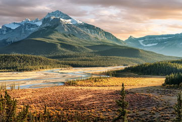 This 11,000-Year-Old Village Discovered In Canada Is Changing The Notion That Early Indigenous People Were Nomadic