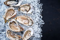 Oyster Blood Could Be The Key To Combating Superbugs On A Global Scale