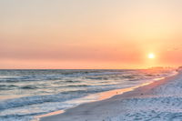 This Underwater Fossil Bed Found In Florida Contains Animals From An Obscure Part Of The Ice Age