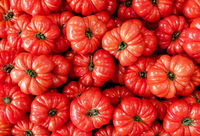 The Compound That Causes Tomatoes To Be Red Could Be The Key To Fighting Depression