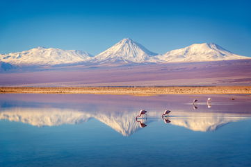 The Source Of The Deadly Irish Potato Famine Has Ties To The Andes Mountains