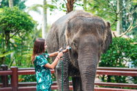 Elephants Use Hoses To Play Pranks On Each Other And Clean Themselves