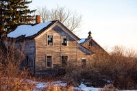 A Mechanic Found Hundreds Of Artworks In A Dumpster At An Abandoned Farmhouse Worth Millions Of Dollars