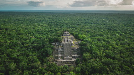 Archaeologists Have Uncovered A Lost Maya City In Mexico After Analyzing Old Surveys Of Forests