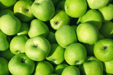 Apples Across America Are Being Threatened By A Changing Climate