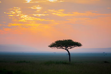 These Battered Remains Found In Kenya Demonstrate The Earliest Evidence Of War