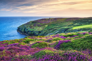 An Ancient Fortune-Telling Spoon Used By Iron Age People To Tell The Future Was Found On The Isle Of Man