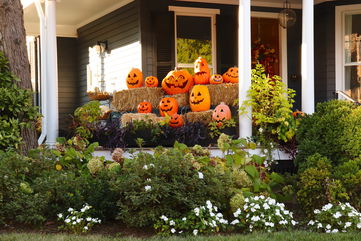 How To Preserve Your Pumpkins And Keep Your Jack-O-Lantern Creations Alive