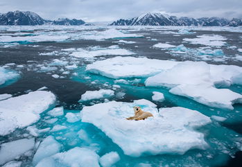 Signs Of Giant Viruses Have Been Detected In Greenland’s Ice