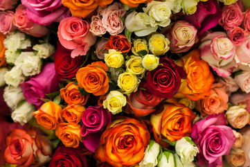 6 Rose Varieties You Can Actually Eat