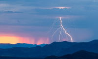 Collecting This Rare Fungus Increases Your Risk Of Getting Struck By Lightning