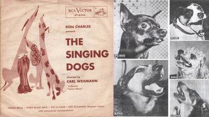 The Story Behind the “Jingle Bells” Dog Bark Song: A Howling Holiday Classic