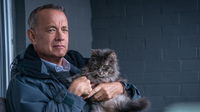 Tom Hanks’ 7 Most Iconic Roles That Define His Career